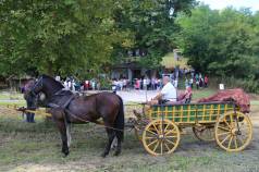 Mini IMG 9322